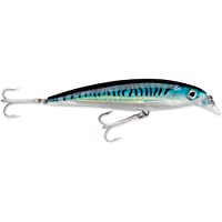 Rapala X-Rap Saltwater Señuelo- Unisex-Adult- Plata Azul Mackerel- 10